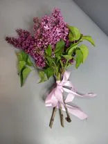 Акция! Букет из сирени S. Фото флориста - 1