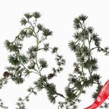 Маленькое фото 4: Гирлянда сосновая с шишками, 180см, зеленый