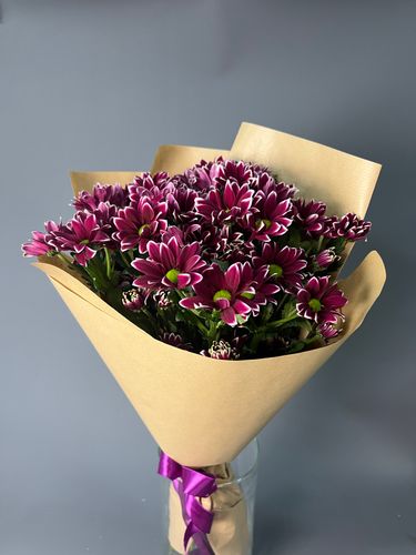 Фото флориста 1: Хризантемы многолетние