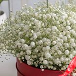 Маленькое фото 4: Букет из 5 белых гипсофил в красной коробке