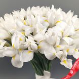 Маленькое фото 4: Букет из 51 белого ириса с лентой