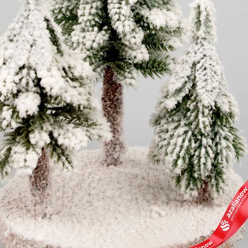 Фото 5: Елочки искусственные заснеженные на подставке, Н26х17х17см, зеленый/белый