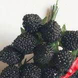 Маленькое фото 2: Набор ежевики на вставках 12шт., D1,8x2,5xL11см