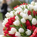 Маленькое фото 2: Букет из 500 белых и красных пионовидных тюльпанов, Голландия. Сервис доставки цветов AzaliaNow