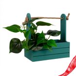 Маленькое фото 3: Корзина (дерево), 21х12х23см, изумрудный