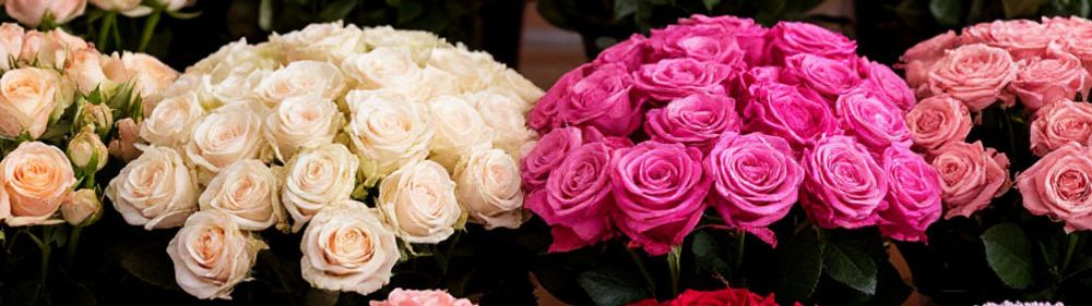 Цветы метро Комсомольская