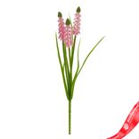 Маленькое фото 1: Мускари на вставке, 30см, светло-розовый. Сервис доставки цветов AzaliaNow