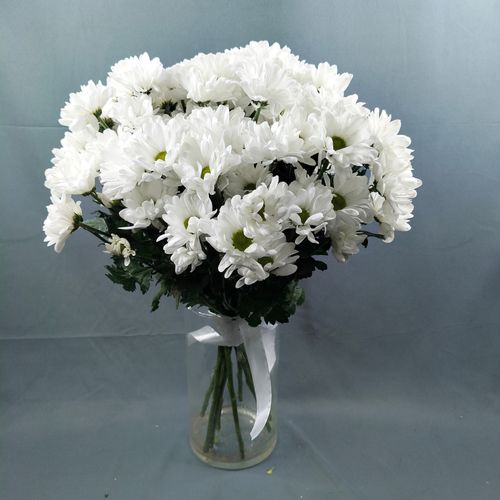 Фото флориста 6: Хризантемы