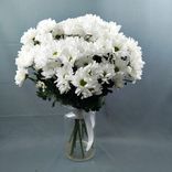 Фото флориста 1: Букет из 9 кустовых белых хризантем с лентой, Ромашка, Голландия