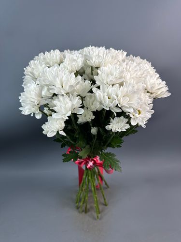Фото флориста 5: Хризантемы кустовые