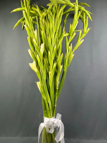 Фото флориста 1: Сезонные цветы