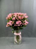 Фото флориста 1: Букет из 15 розовых флоксов с розовой лентой