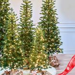 Маленькое фото 3: Ель искусственная с лампочками «Тикко» (PE), 2,55м, зеленый