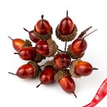 Маленькое фото 1: Набор желудей на вставках 12шт., D1,5x2,5xL12см, коричневый
