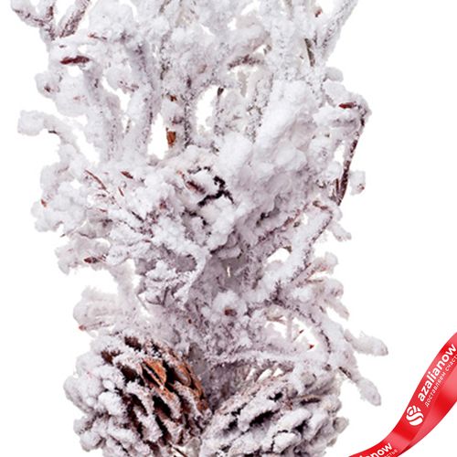 Фото 5: Ветка кедровая заснеженная, 71см