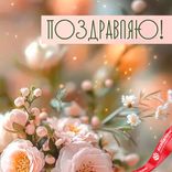 Маленькое фото 2: Открытка «Поздравляю (нежные цветы и подарок)», 12,2×18,2 см