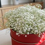 Маленькое фото 2: Букет из 15 гипсофил в красной коробке. Сервис доставки цветов AzaliaNow