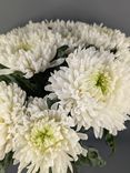Фото флориста 5: 1 белая одноголовая хризантема