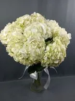 Фото флориста 1: Букет из 9 белых гортензий