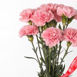 Маленькое фото 4: Букет из 9 розовых гвоздик с лентой. Сервис доставки цветов AzaliaNow