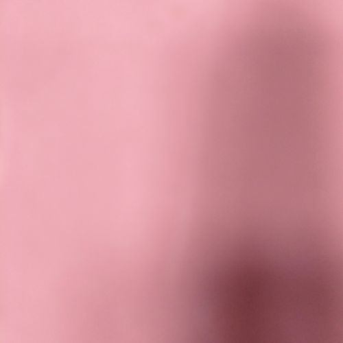 Фото флориста 1: Белые розы