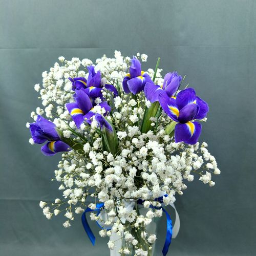 Фото флориста 1: Ирисы