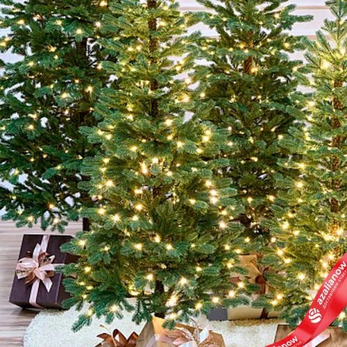 Фото 4: Ель искусственная с лампочками «Тикко» (PE), 1,85м, зеленый