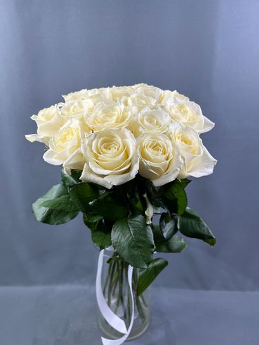 Показать все изображения