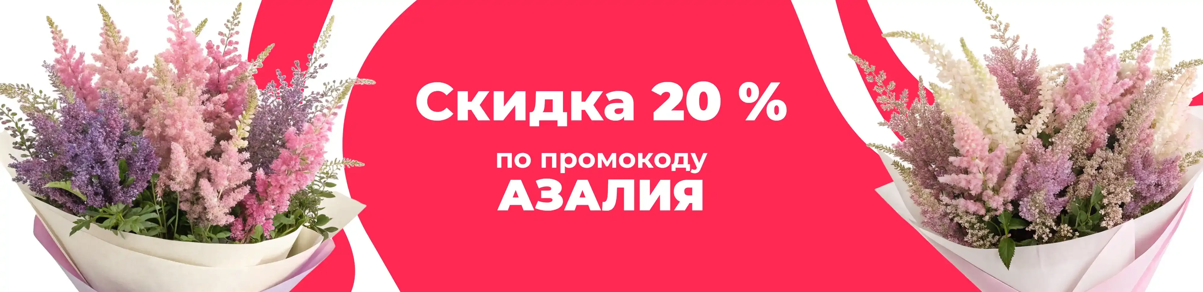 Баннер для рубрики: Астильбы