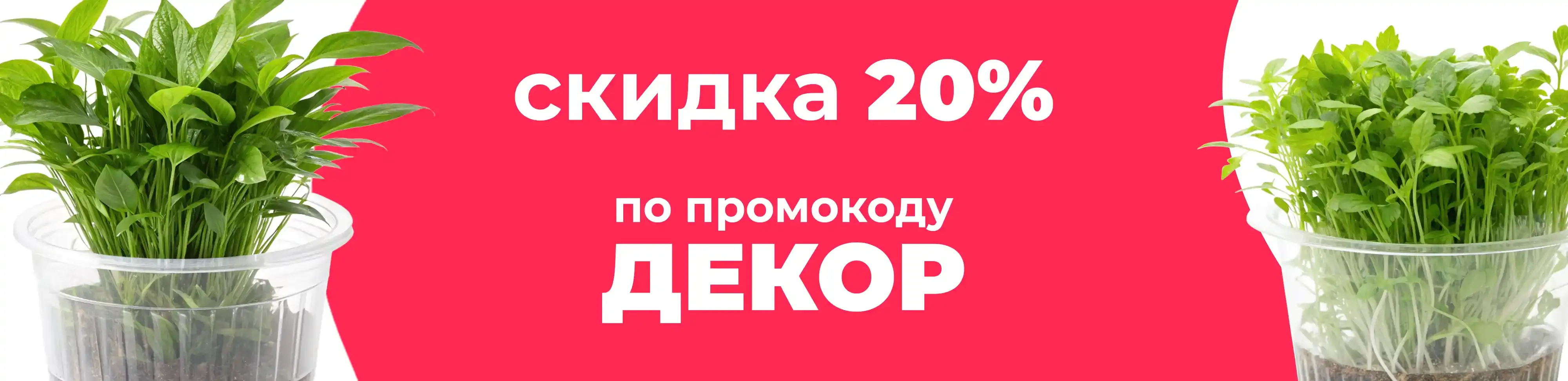Баннер для рубрики: Цветочные горшки прозрачные