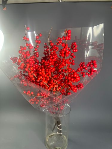 Показать все изображения