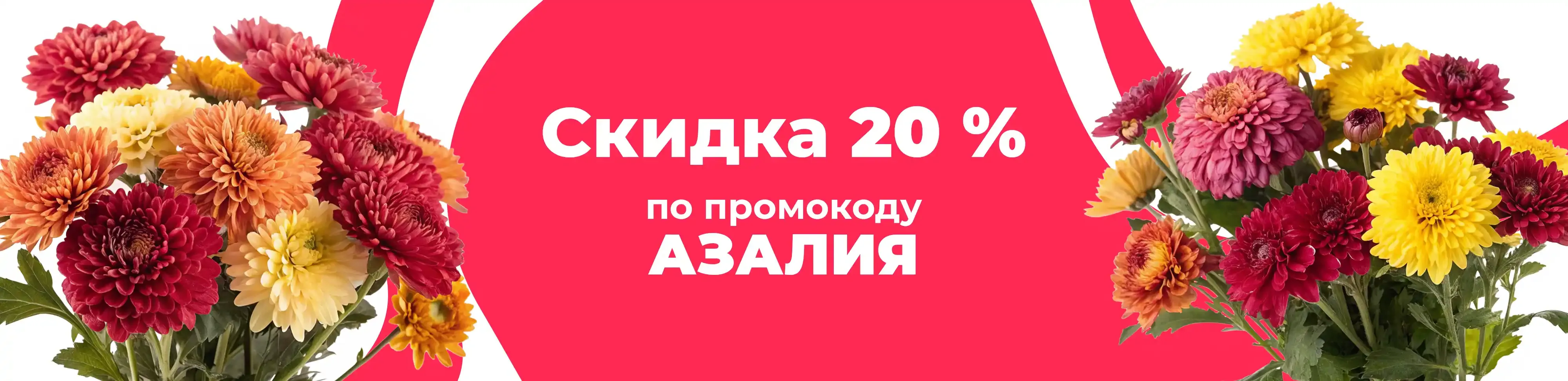 Баннер для рубрики: Авторские хризантемы