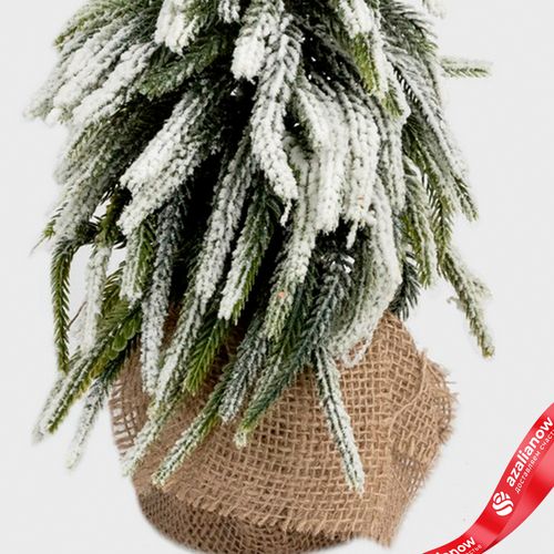 Фото 5: Ель искусственная заснеженная в кашпо, Н35х20х20см, зеленый/белый