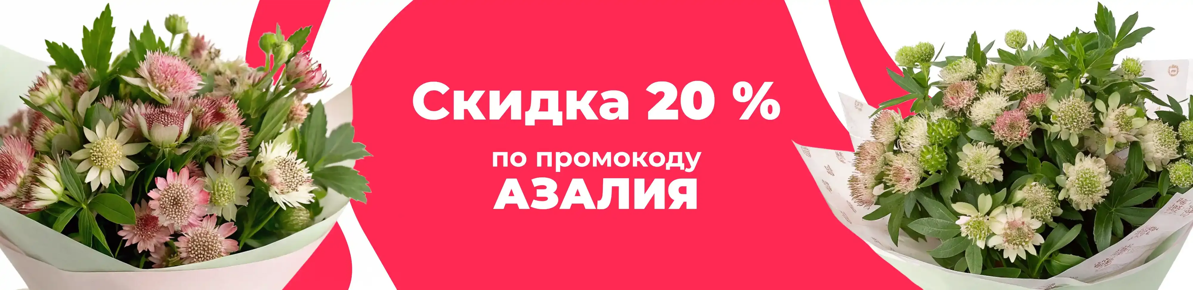 Баннер для рубрики: Астранции