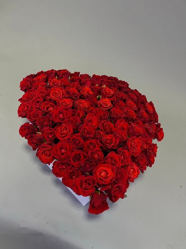 Показать все изображения