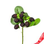 Маленькое фото 1: Ветка ежевики, 28см, черный