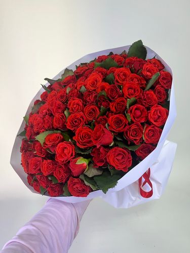 Показать все изображения