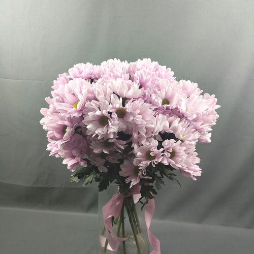 Фото флориста 1: Хризантемы кустовые