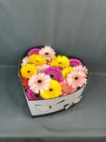 Фото флориста 1: Цветочная композиция из 19 гербер микс в коробке "C яркими эмоциями в каждом цветке"