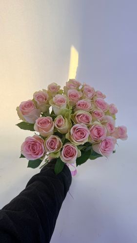 Показать все изображения