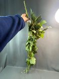 Фото флориста 1: Ветка Искусственный виноград 100 см Зеленый летний