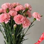 Маленькое фото 3: Букет из 15 розовых гвоздик с лентой. Сервис доставки цветов AzaliaNow