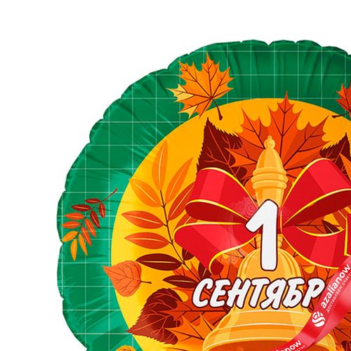 Фото 4: Шар с гелием «Круг - 1 Сентября (колокольчик и листья)», зеленый, 46 см
