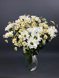 Фото флориста 1: Букет из белых хризантем и ромашки «Незабываемый»