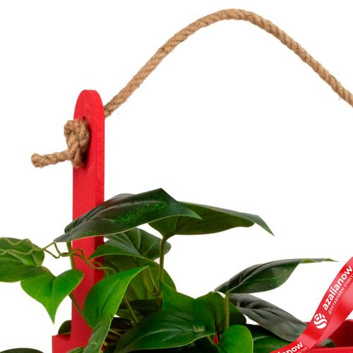 Фото 5: Корзина (дерево), 25х15х30см, красный