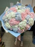 Фото флориста 3: Букет из 39 гортензий «Белиссимо»