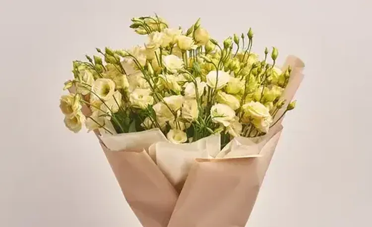 Красивые кремовые цветы