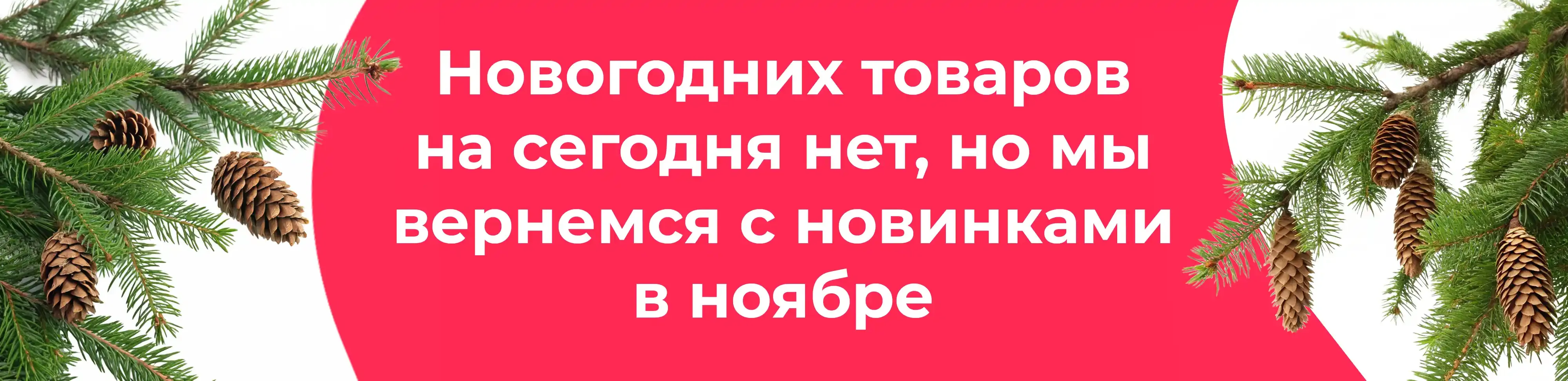 Баннер для рубрики: Ветки с шишками