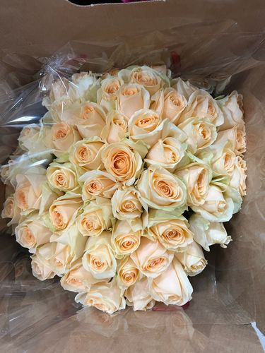 Показать все изображения