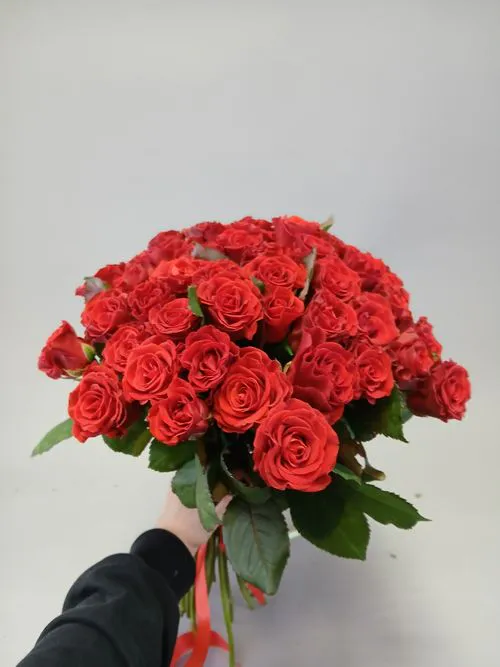 Показать все изображения